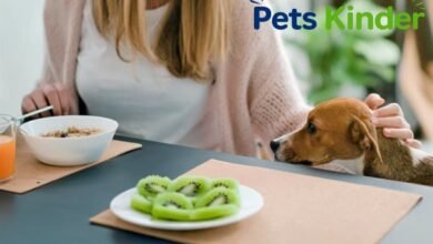 can dogs have kiwi